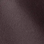 3067116 - VISONE